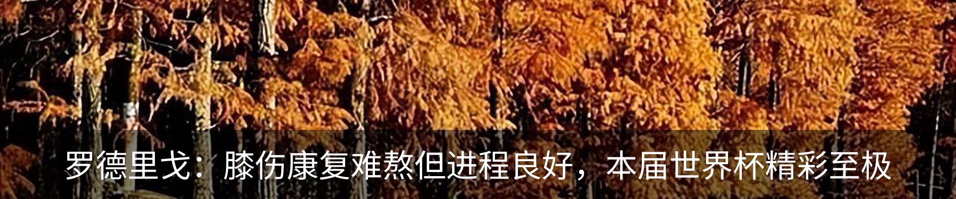 资讯动态